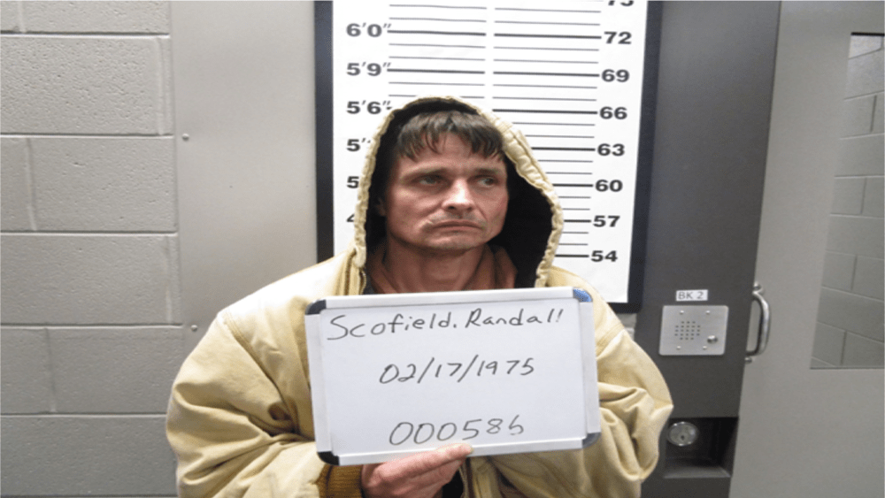 scofield