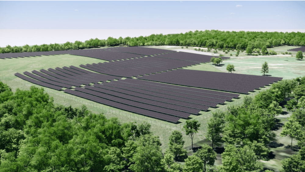 solar-farm