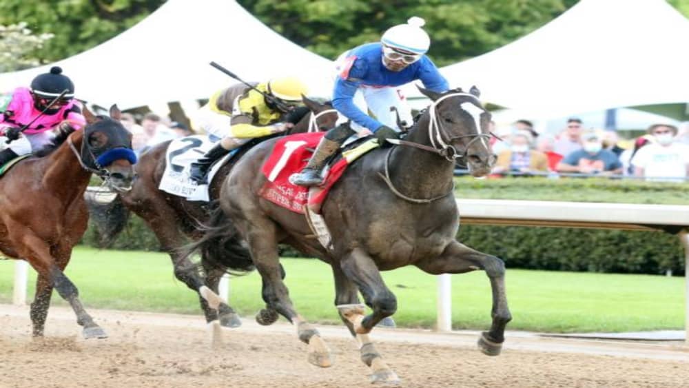 horse-racing