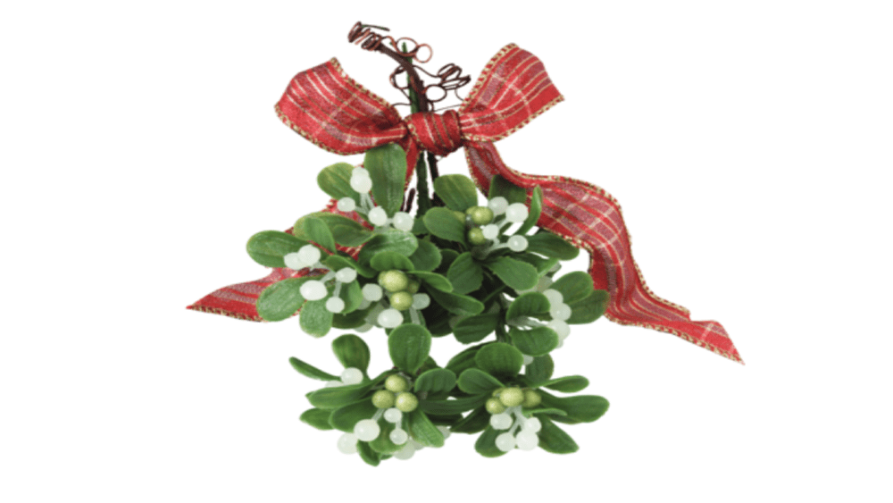 mistletoe