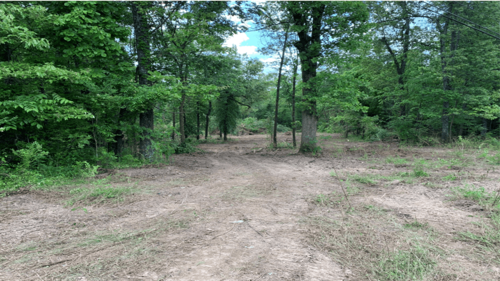 thayer-auction-site