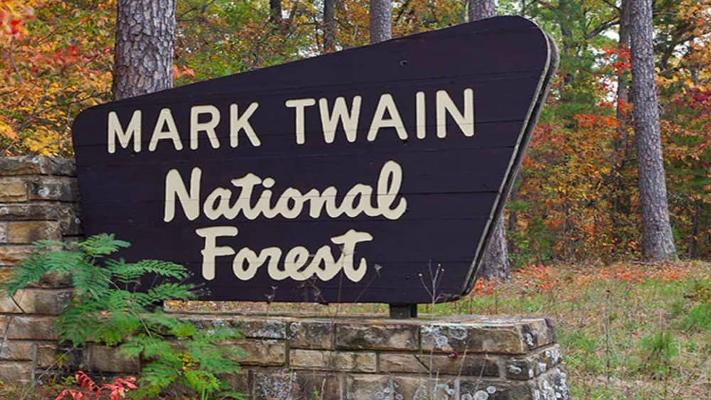 mark-twain-forest