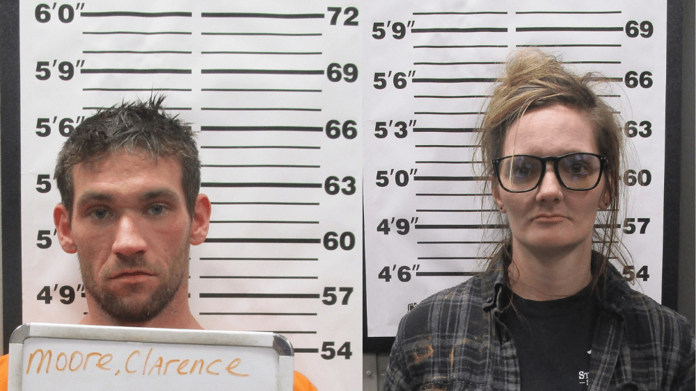 untitled-design-3-45