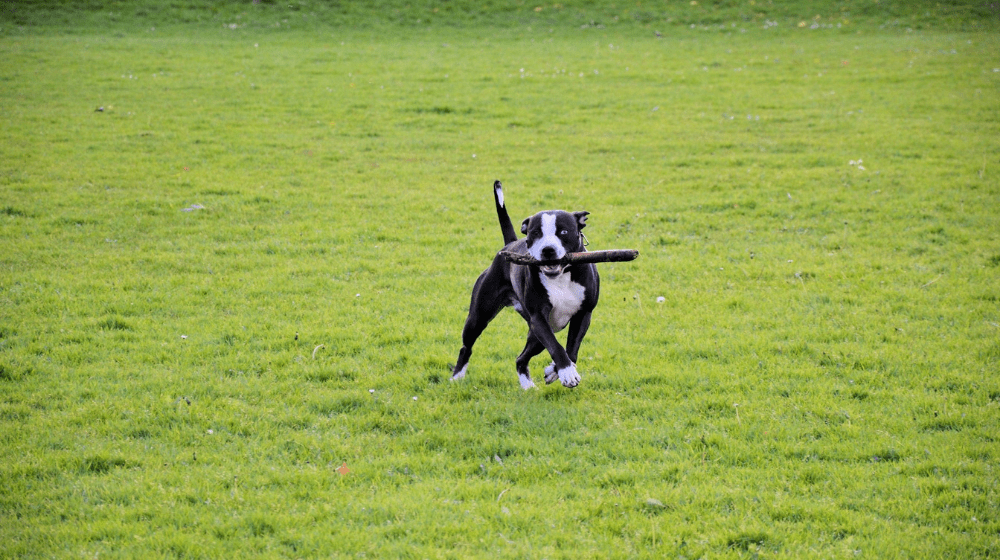 untitled-design-3-71