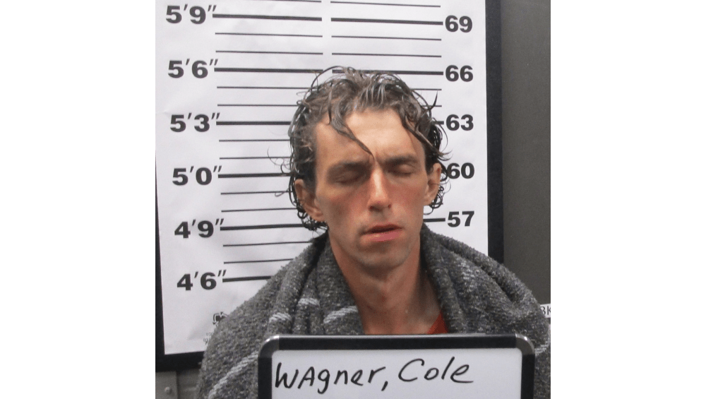 untitled-design-31-2