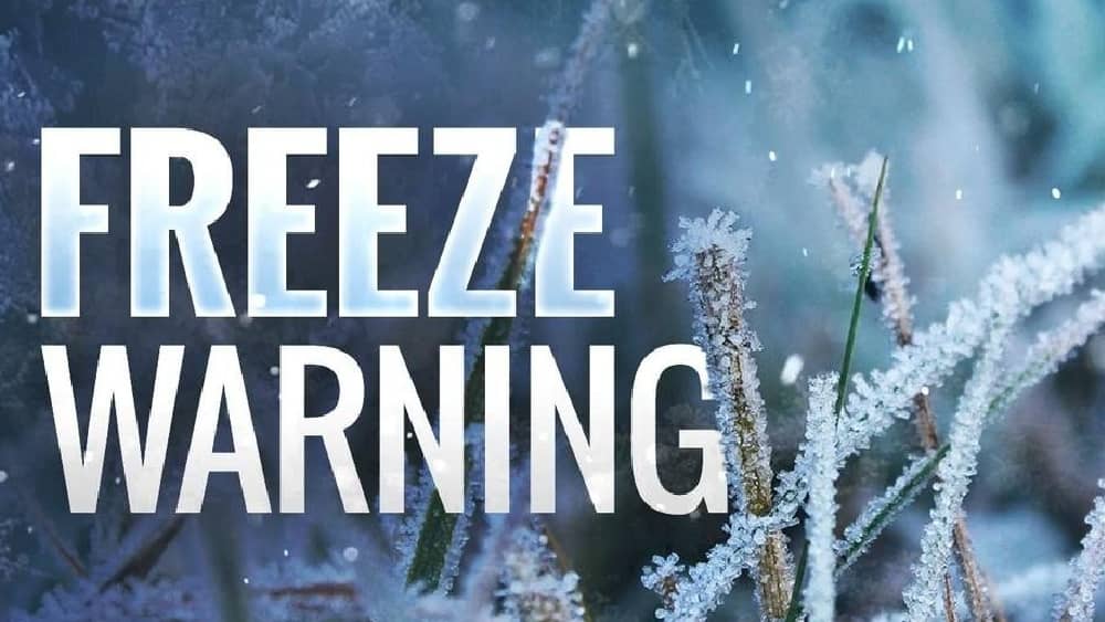 freeze