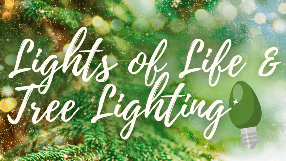 Ozarks Healthcare Foundation to host 30th Annual Lights of Life ...