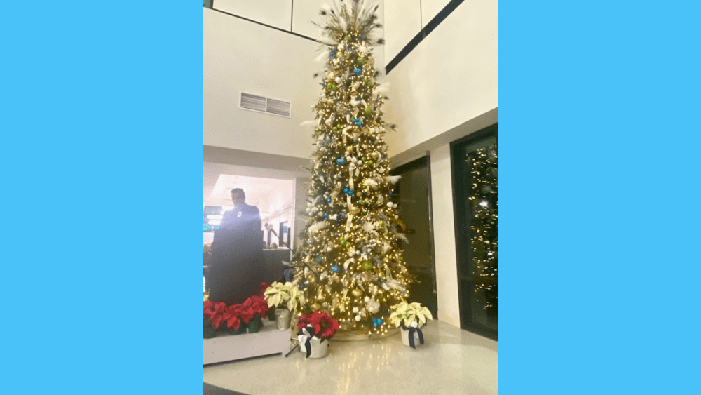 tree-3