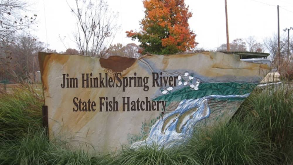 jim-hinkle-fish-hatchery