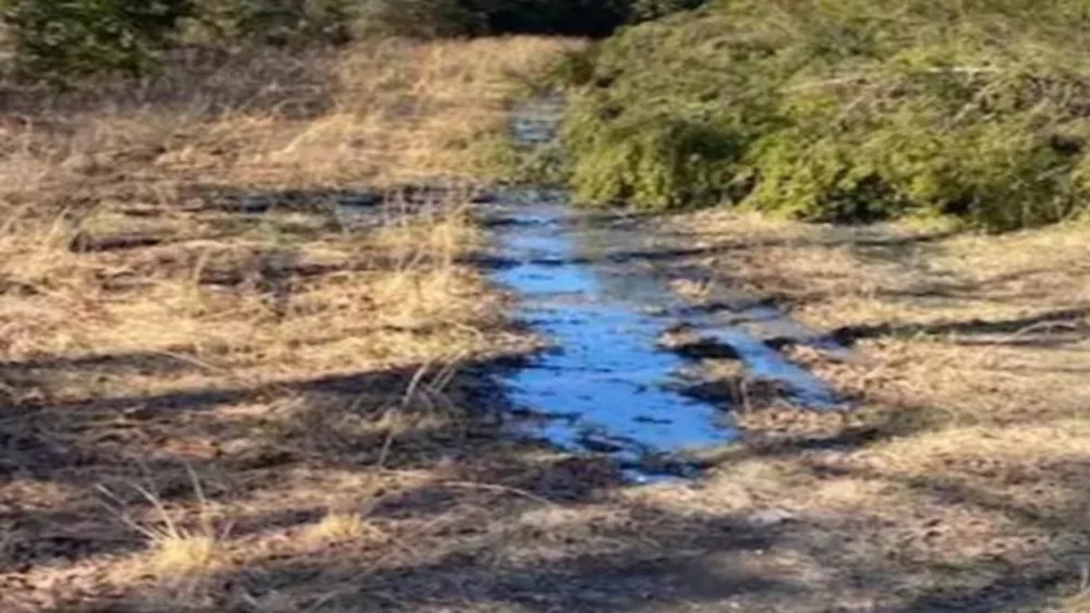 sewage2