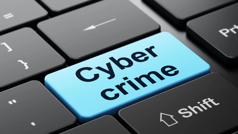 cyber-crimes
