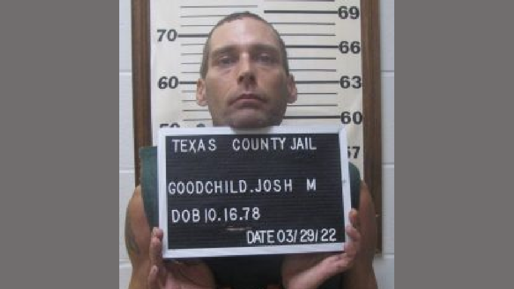 goodchild-2