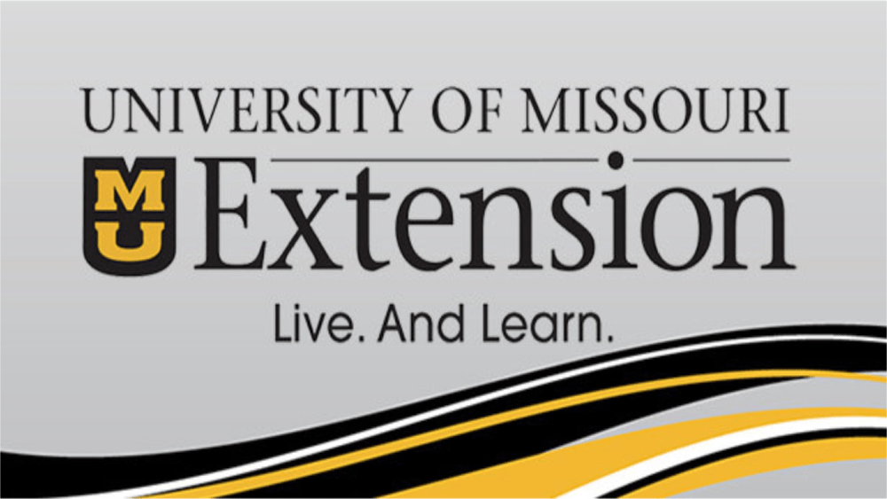 mo-extension