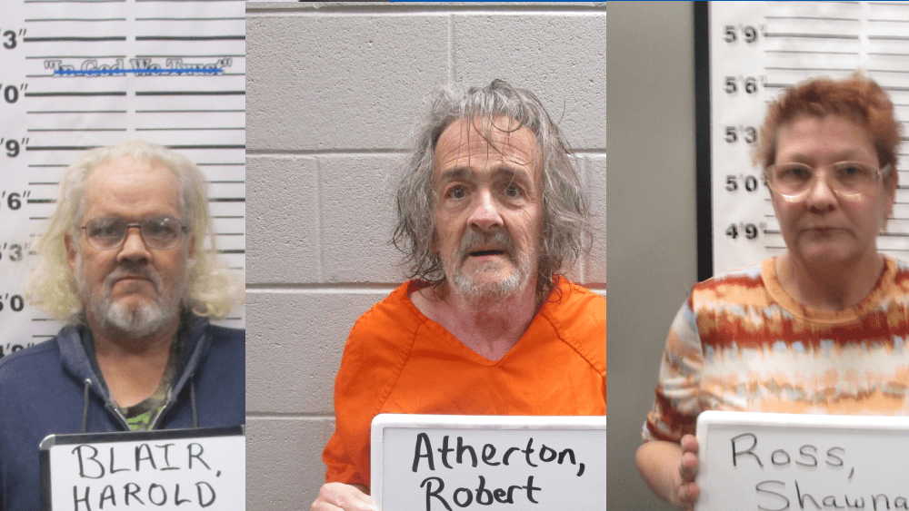 ava-arrests