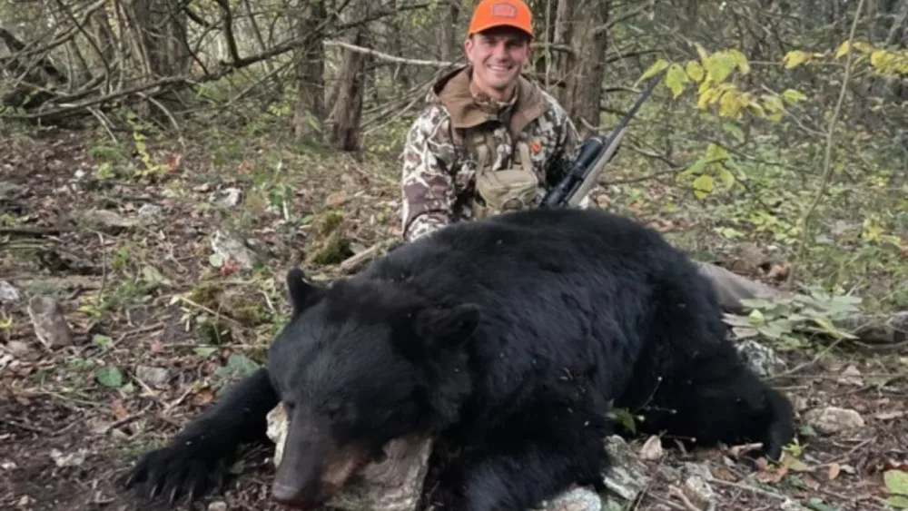 black-bear