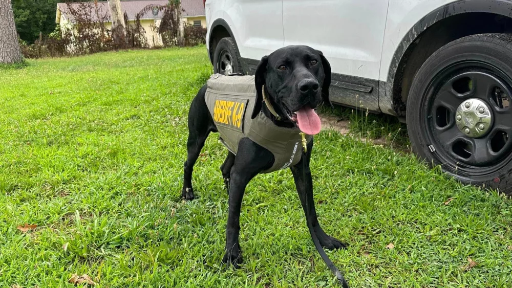 wright-k-9
