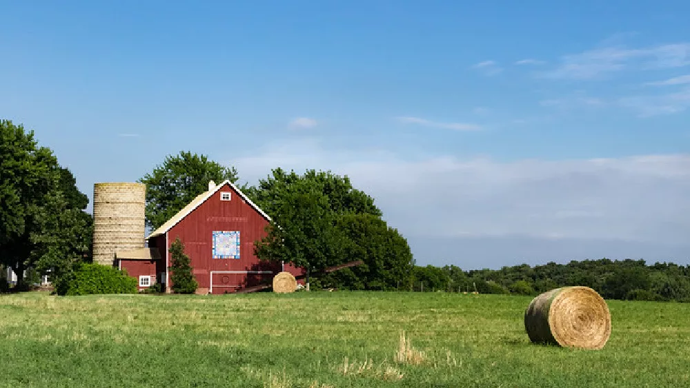 farm-6