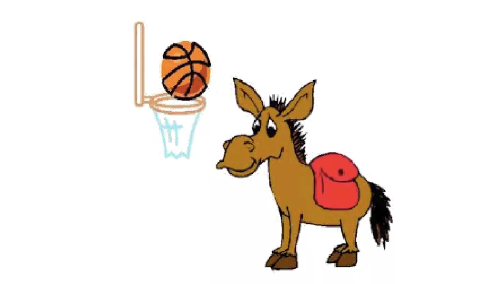 donkey