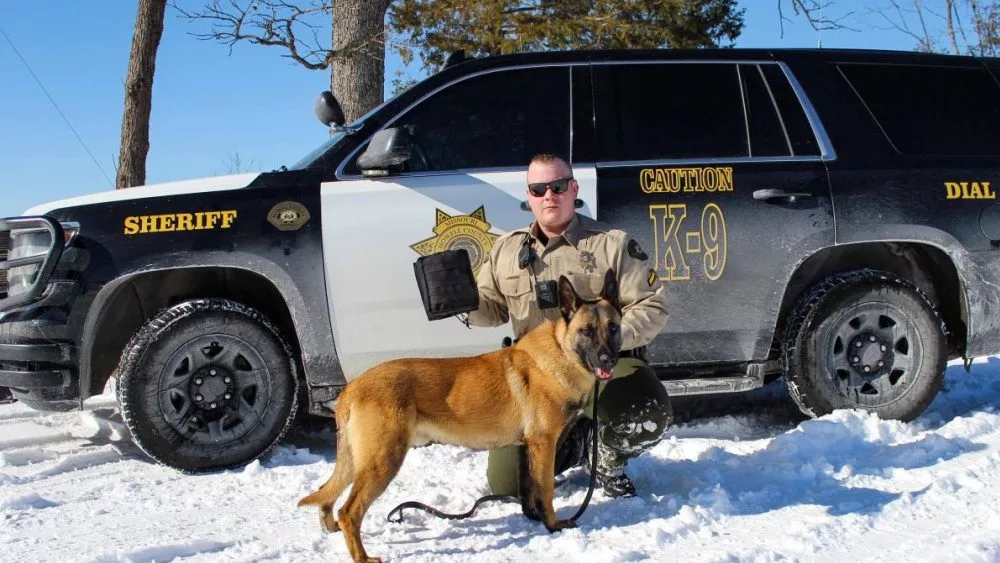 k-9-flash