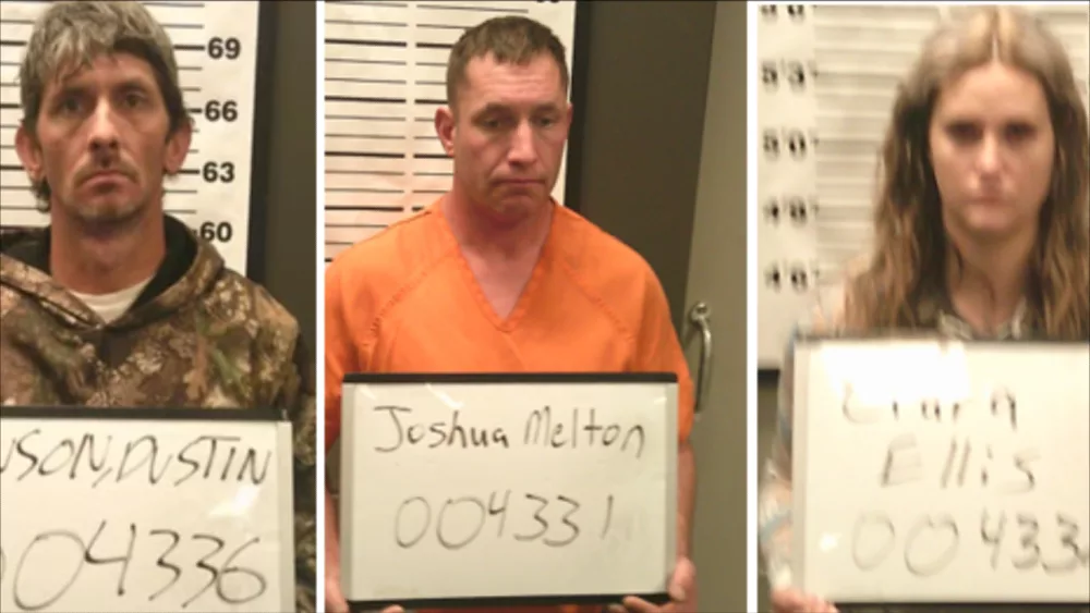 dc-burglary-arrests