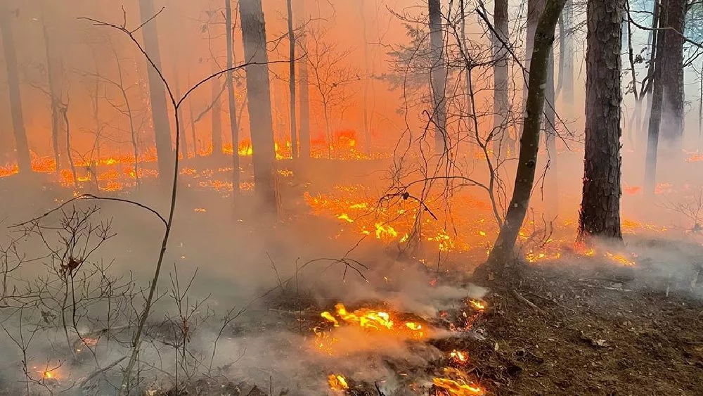 fire-8
