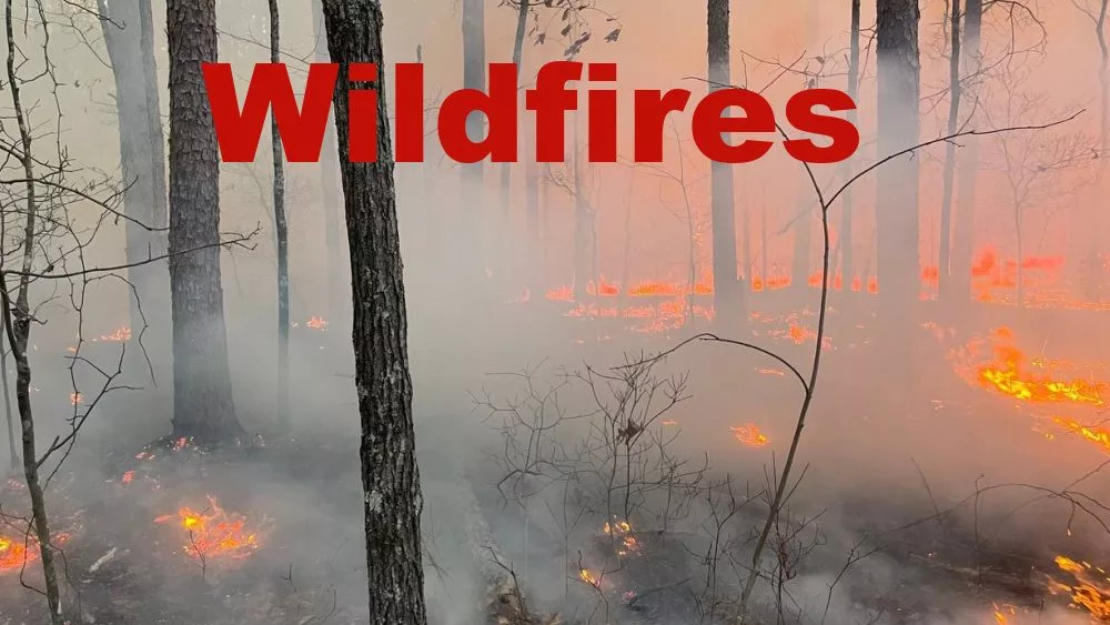 wildfire