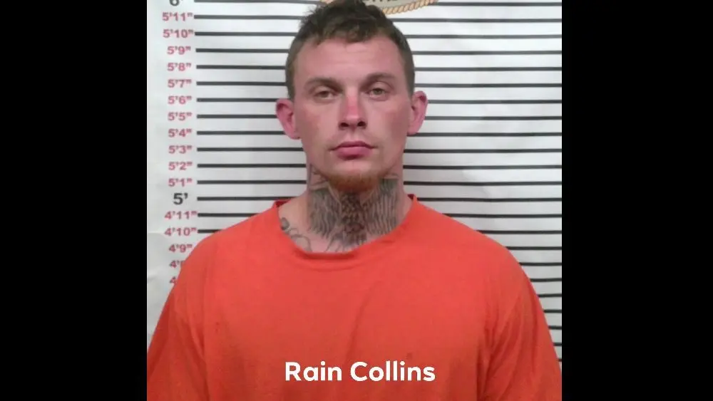 rain-collins