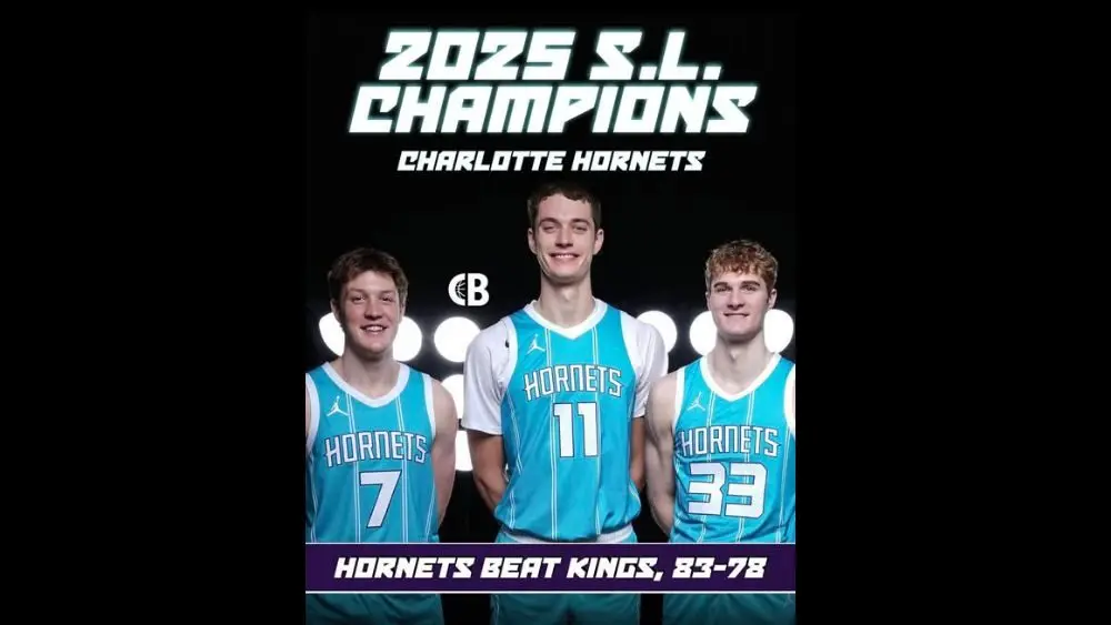 hornets