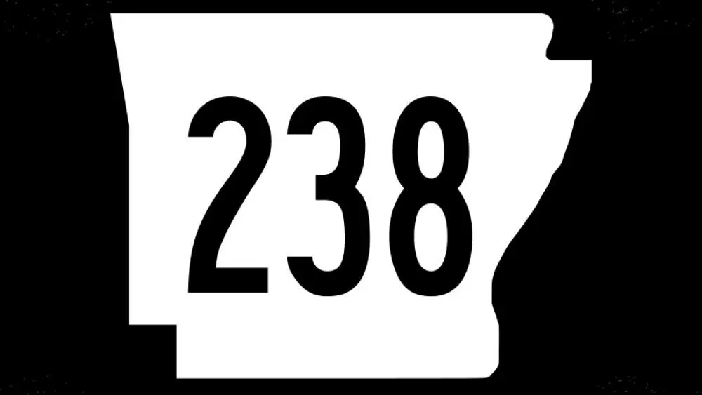 238