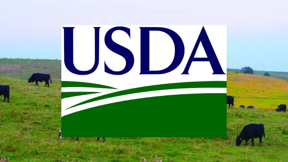 project-2025-09-13t010855-977