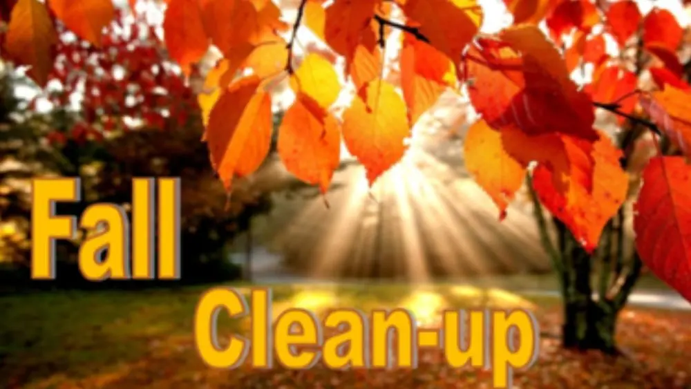 fall-clean