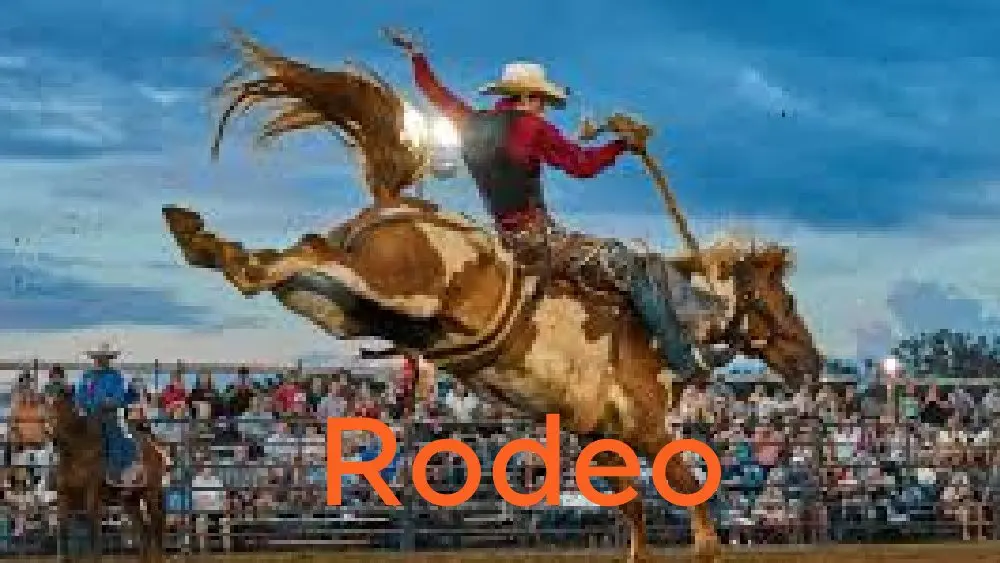 roceo