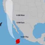 shutterstock_2349098003326993