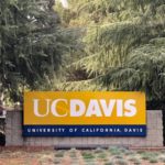 shutterstock_1536887138368789