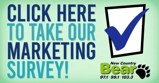 marketingsurvey-2026-bear