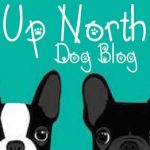 upnorthdogblog
