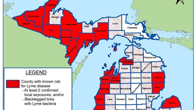 County Map 