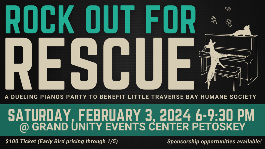 Rock Out For Rescue to help the dogs and cats. - Vimarsana News