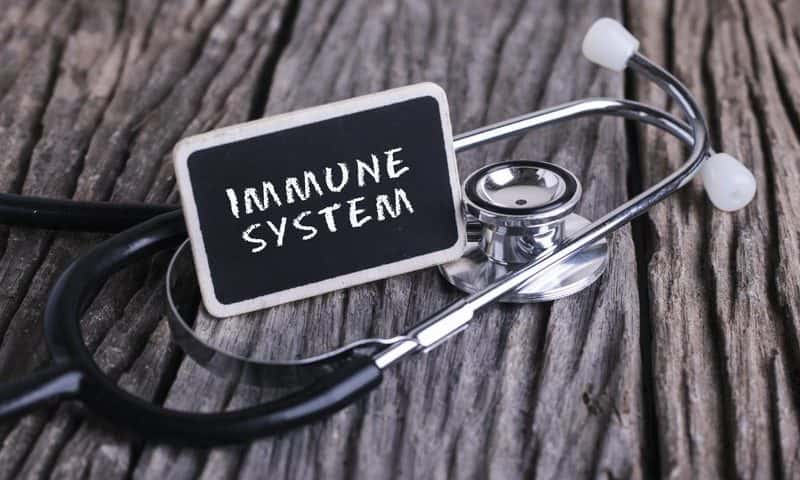 immune-system-800x480