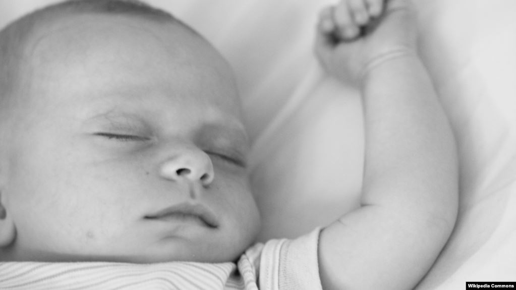 baby-3