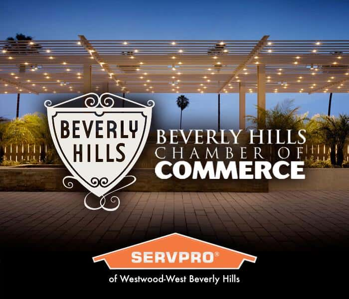 How Beverly Hills is Getting Back to Business