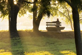 shutterstock_149342012-350x233