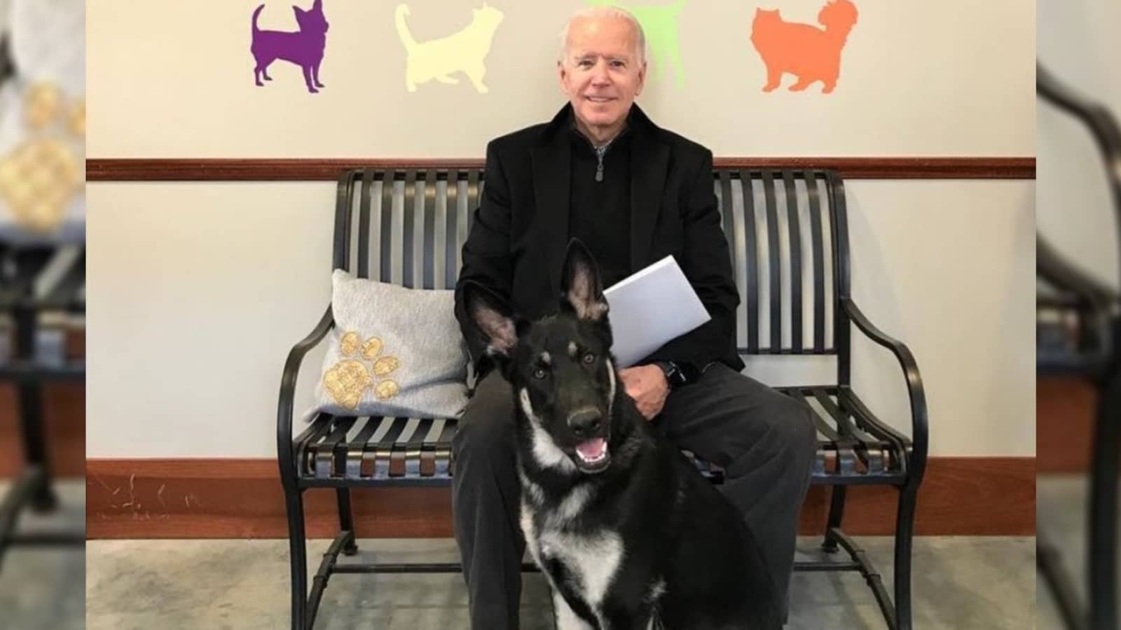 7752635_joebidenandmajor