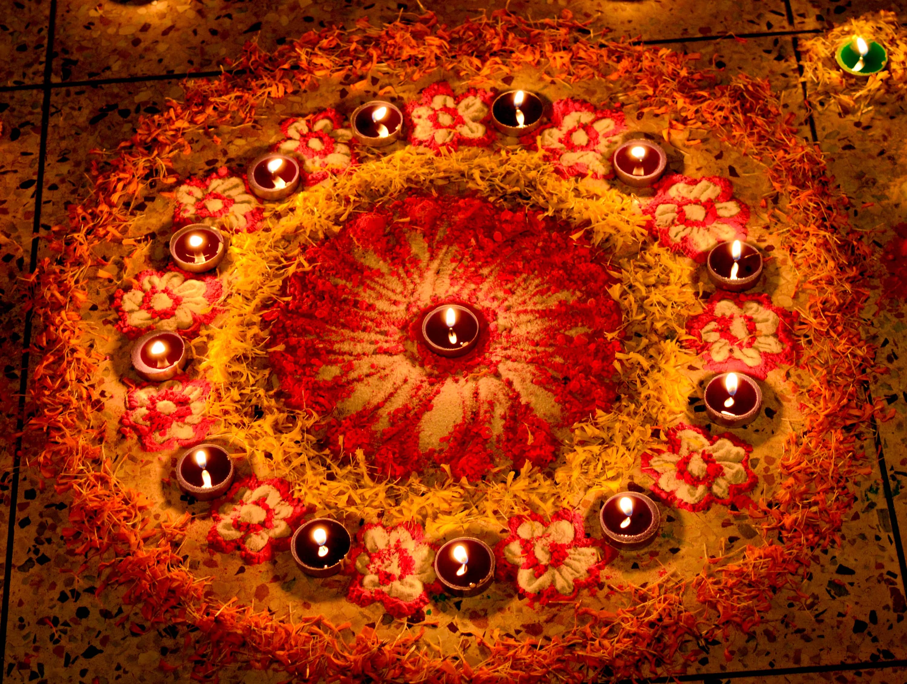 suchandra-roy-chowdhury-cm8x2ddvnge-unsplash