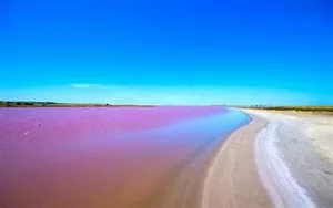 in India  ·   · Lake Rosa (locally known as Lake Retba
