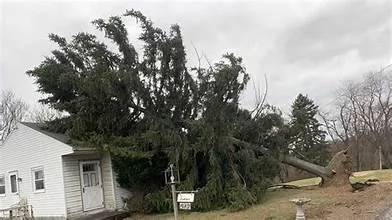 PGE