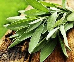sage