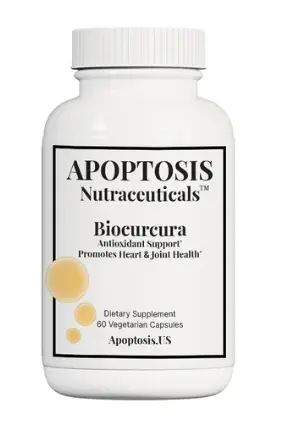· Advanced DNA Protection · Anti-Aging · Promote Heart and Joint Health · Promote Apoptosis · Reduce Inflammaging · Boosts Immune-Response APOPTOSIS is a fascinating and natural process in every body which removes Old, Damaged and Cancer Cells in an effective manner and keeps the body healthy. Biocurcura promotes APOPTOSIS. Biocurcura reduces Inflamm-aging. Chronic Inflammation increases in our cells as we age. Chronic inflammation has been related to Alzheimer’s disease, heart diseases, many of the auto-immune diseases including Type 2 diabetes and arthritis and of course creation of fine lines, wrinkles and skin aging. By reducing and managing chronic inflammation with following a healthy lifestyle, exercising and eating healthy we can reduce Inflamm-aging. We cannot stop aging, but we can delay, postpone and reverse the process and damages caused by age related inflammatory processes that cause and increase the possibilities for chronic conditions. · Advanced DNA Protection · Anti-Aging · Promote Heart and Joint Health · Promote Apoptosis · Reduce Inflammaging · Boosts Immune-Response APOPTOSIS is a fascinating and natural process in every body which removes Old, Damaged and Cancer Cells in an effective manner and keeps the body healthy. Biocurcura promotes APOPTOSIS. Biocurcura reduces Inflamm-aging. Chronic Inflammation increases in our cells as we age. Chronic inflammation has been related to Alzheimer’s disease, heart diseases, many of the auto-immune diseases including Type 2 diabetes and arthritis and of course creation of fine lines, wrinkles and skin aging. By reducing and managing chronic inflammation with following a healthy lifestyle, exercising and eating healthy we can reduce Inflamm-aging. We cannot stop aging, but we can delay, postpone and reverse the process and damages caused by age related inflammatory processes that cause and increase the possibilities for chronic conditions.