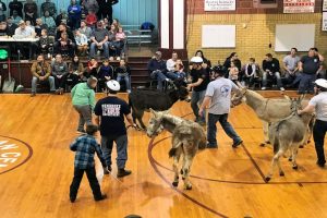 pembroke-donkey-ball-2019-66-jpg