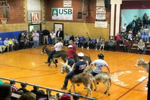 pembroke-donkey-ball-2019-14-jpg